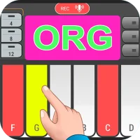Organs instruments your music